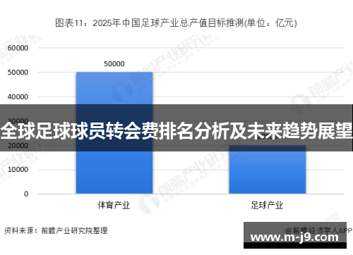 全球足球球员转会费排名分析及未来趋势展望