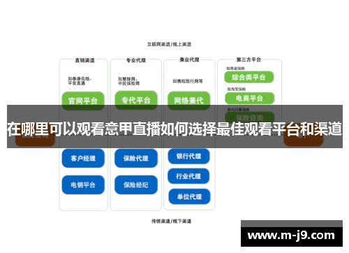 在哪里可以观看意甲直播如何选择最佳观看平台和渠道