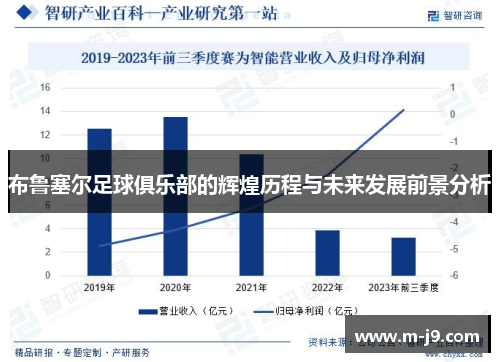 布鲁塞尔足球俱乐部的辉煌历程与未来发展前景分析