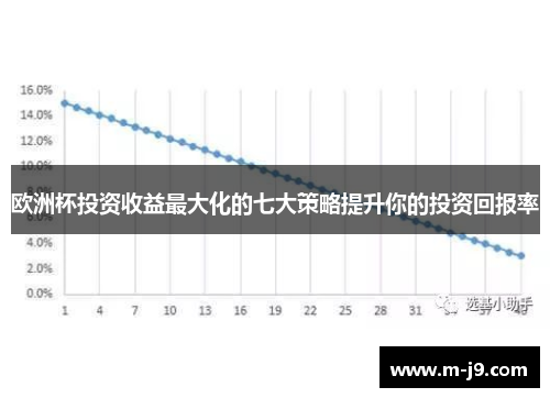 欧洲杯投资收益最大化的七大策略提升你的投资回报率
