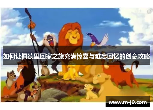 如何让佩德里回家之旅充满惊喜与难忘回忆的创意攻略