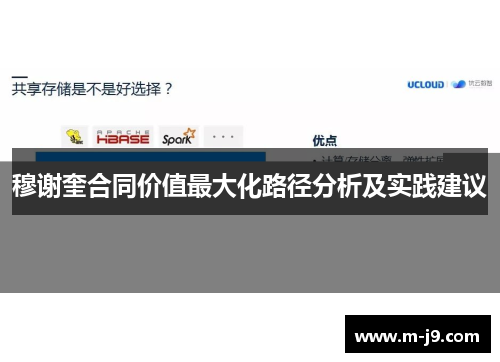 穆谢奎合同价值最大化路径分析及实践建议
