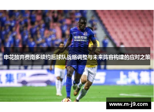 申花放弃费南多续约后球队战略调整与未来阵容构建的应对之策