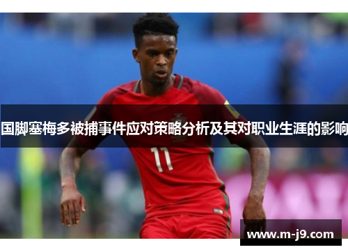 国脚塞梅多被捕事件应对策略分析及其对职业生涯的影响