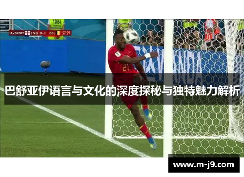 巴舒亚伊语言与文化的深度探秘与独特魅力解析