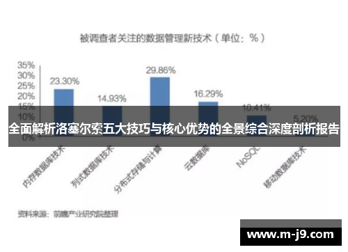 全面解析洛塞尔索五大技巧与核心优势的全景综合深度剖析报告 全面解析洛塞尔索五大技巧与核心优势的全景综合深度剖析报告