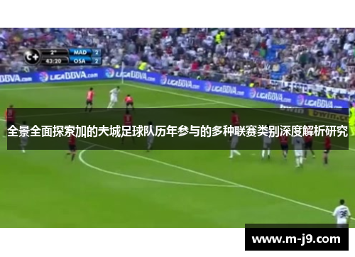 全景全面探索加的夫城足球队历年参与的多种联赛类别深度解析研究